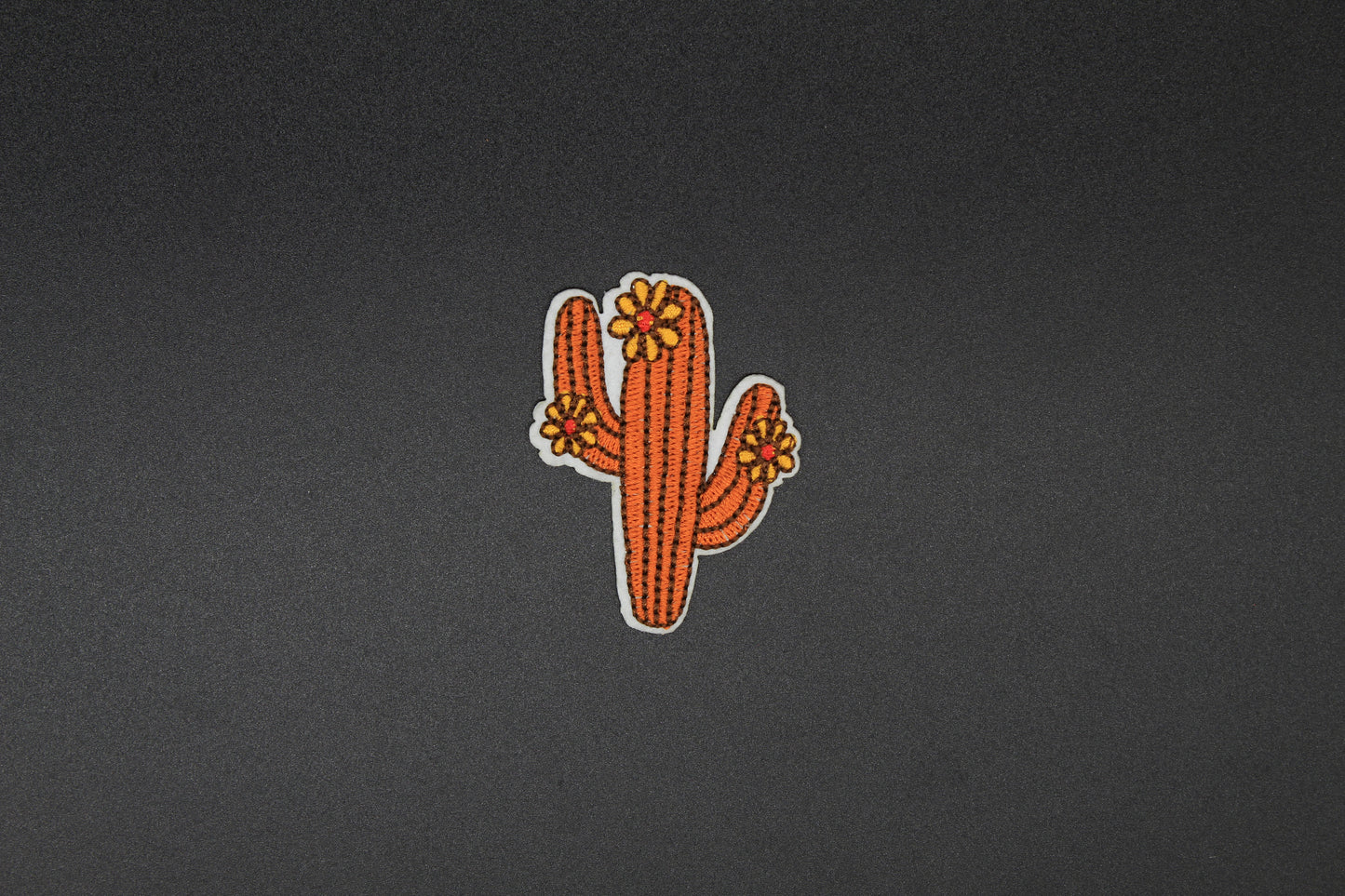 Desert Bloom Cactus Iron-On Patch