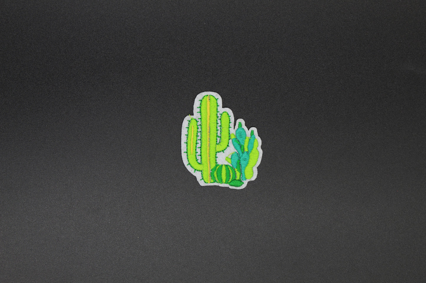 Cactus Iron-On Patch