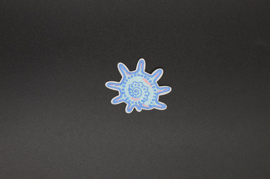 Spiral Sea Shell Iron-On Patch