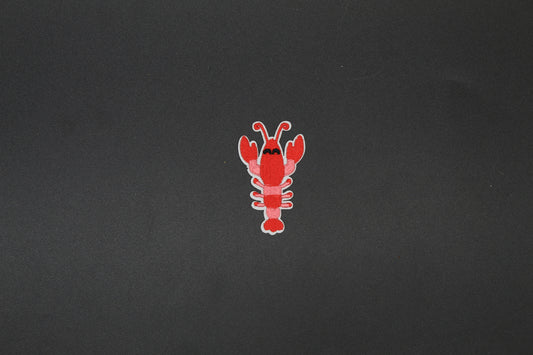 Cute Crawfish Embroidered Patch | Kawaii Crawdad Iron-On Appliqué for Hats, Jackets & Bags