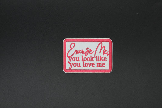 “Excuse Me, You Look Like You Love Me” Flirty Embroidered Iron-On Patch