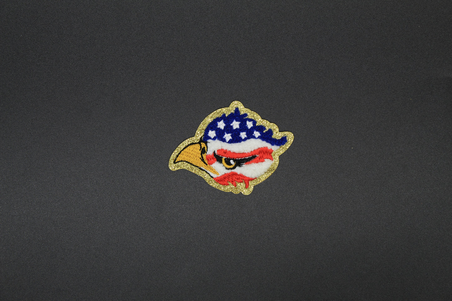 Eagle Eye Pride Iron-On-Patch