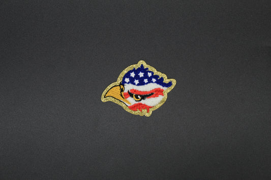 Eagle Eye Pride Iron-On-Patch