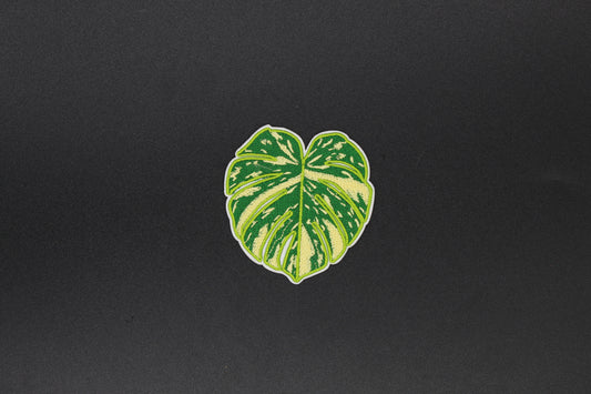 Tropical Monstera Leaf Iron-On Patch