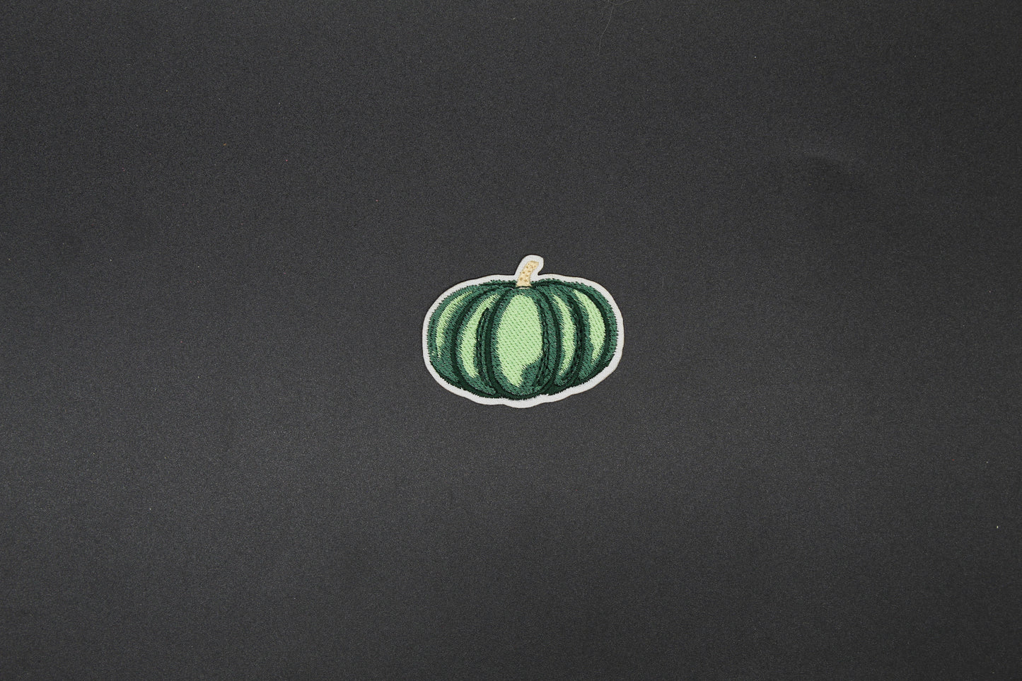 Sage Green Velvet Pumpkin Iron-On Patch